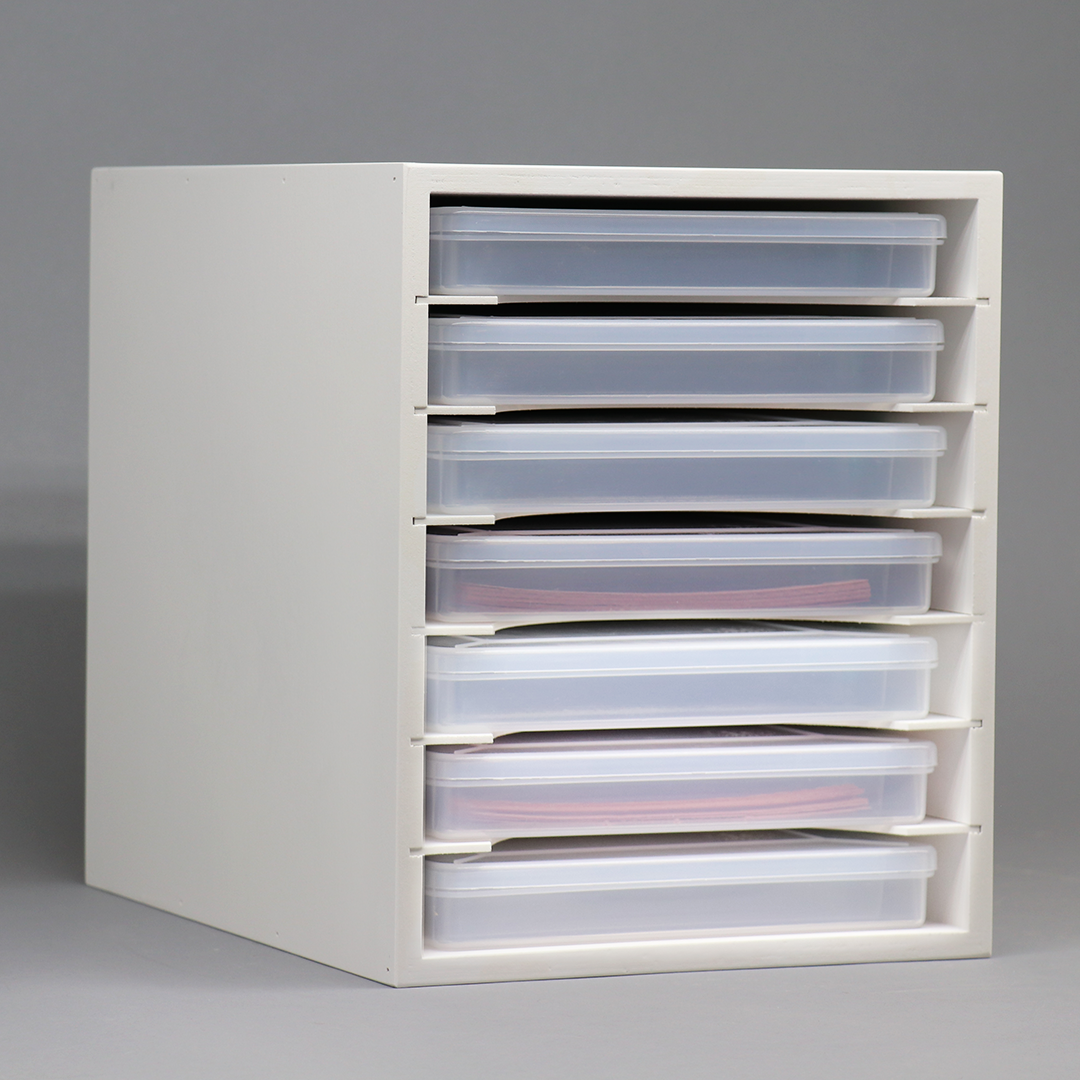 Stamp-n-Storage White Cabinet holding Taylored Expressions Large Simple Storage Cases